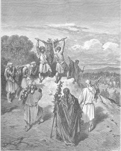 The Spies Return from the Promised Land